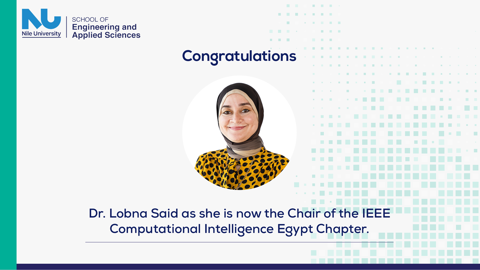 the Chair of the IEEE Computational Intelligence Egypt Chapter. 